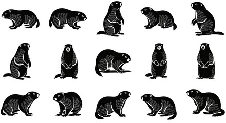 Obraz premium Marmots in various poses showcasing playful and curious behavior 