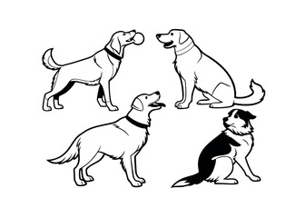 Adorable Dog Breeds Labrador Retrievers and Border Collies Illustrations
