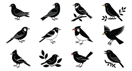 Set of 12 black and white bird illustrations showcasing various poses on branches, ideal for nature, wildlife, and avian-themed designs