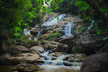 Fototapeta premium Waterfall in Lush Jungle