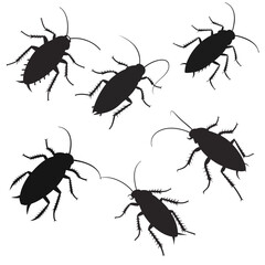 Set of silhouettes of cockroaches Vector illustration eps 10