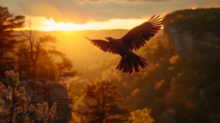 Bird soaring high above a serene mountain landscape during golden hour
