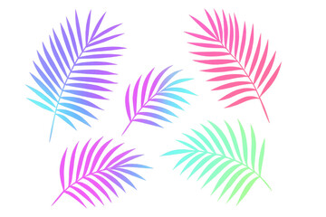 Fototapeta premium Vibrant neon gradient tropical palm leaves forming summer-inspired pattern against transparent background