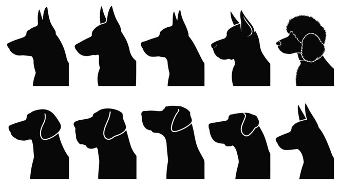 Silhouettes of diverse dog breeds in side profile &ndash; black canine head shapes collection for identification, charting, and design