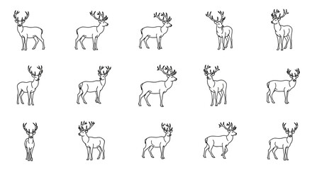 Obraz premium Reindeer illustrations in various poses on white background 