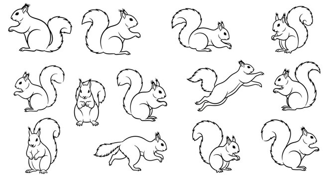 Squirrels in various poses outlined in simple black and white  