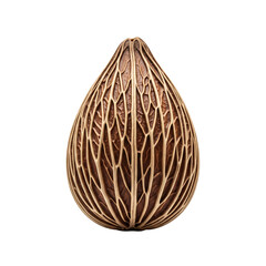 Seed shape, unique seed pattern, organic seed texture, exotic seed varieties, fine seed arrangement, natural seed art, white background PNG