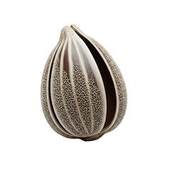 Seed shape, unique seed pattern, organic seed texture, exotic seed varieties, fine seed arrangement, natural seed art, white background PNG