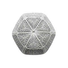Seed shape, unique seed pattern, organic seed texture, exotic seed varieties, fine seed arrangement, natural seed art, white background PNG