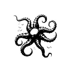 Obraz premium Detailed octopus illustration with swirling tentacles in a striking black and white aesthetic design vector