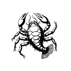 Vintage crustacean drawing showcasing intricate anatomical details and aesthetic appeal for designs and artistic ventures