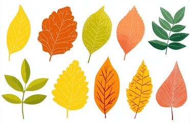 set of autumn leaves