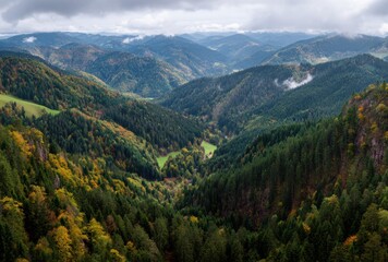 Obraz premium mountain landscape with trees