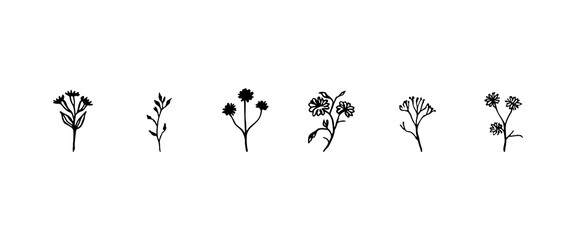 Delicate Line Botanicals. Fine-line botanical illustrations with small leaves and rounded blossoms for elegant natural compositions.