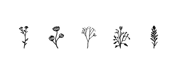 Fine Blooming Elements. A linear collection of blooming floral elements with minimalist style and soft natural aesthetics.