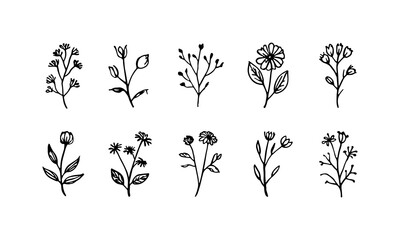 Stylized Thin Flowers. Stylized flowers with thin lines and varied petal shapes, suited for decorative and natural themes.