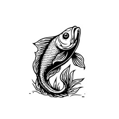 Elegant monochrome fish illustration showcasing detailed scales and flowing fins in a dynamic upward pose artistic expression