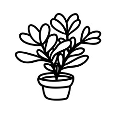 plant in pot