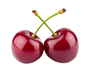 Two ripe red cherries with stems crossing on white background