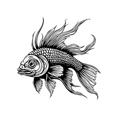 Detailed monochrome drawing showcasing an elegant fantail goldfish with flowing fins and intricate scale patterns in isolated style illustration
