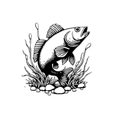 Detailed line drawing of a fish amidst aquatic plants and pebbles showcasing angling and aquatic nature