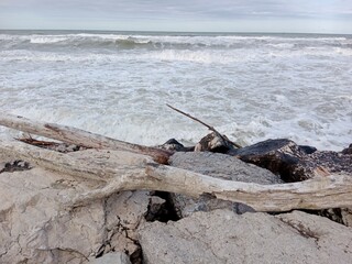 Waves crash against pale rocks, where driftwood lies bleached by sun and salt. The sea roars its...
