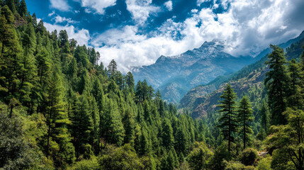 Fototapeta premium Verdant Himalayan pine forest under a partly cloudy blue sky, showcasing a pristine mountain ecosystem