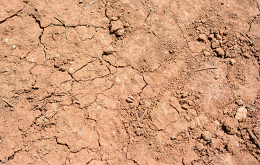 Close-up view of cracked and dry earth surface, revealing erosion and arid conditions