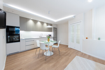 Modern Home Minimalist Kitchen with Dining Table and Wooden Flooring