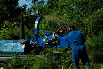 Male Arborist using a working wood chipper machine.The tree surgeon is wearing a safety helmet with a visor and ear protectors.