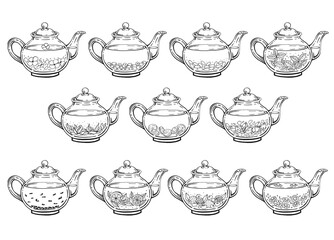 Set with teapot. Medicinal tea. Hand drawn vector illustration.