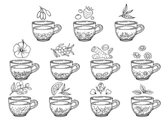 Set glass mugs of tea. Medicinal tea. Hand drawn vector illustration.