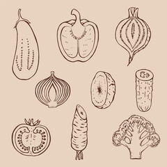 Set of vegetables. Hand drawn vector illustration in outline style.