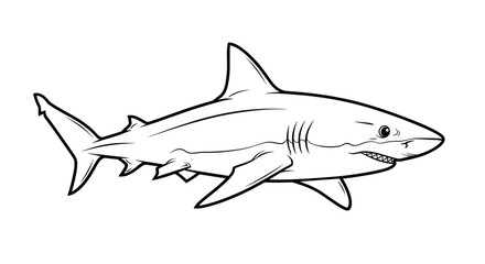 Obraz premium Shark illustration with detailed lines and powerful form in black and white
