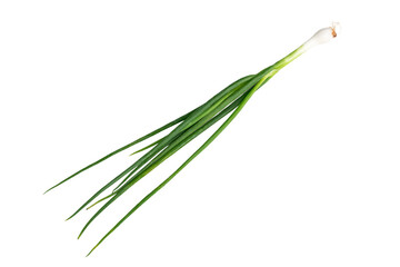 The Fresh spring onion for cooking isolate on white