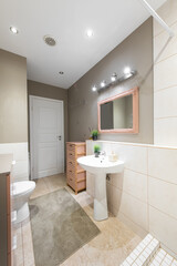 Modern Home Bathroom Interior with Sink, Mirror, and Shower in Neutral Tones