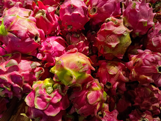 Obraz premium Close-up view of fresh dragon fruits with vibrant pink skin and green-tipped scales, stacked together in a market or grocery store setting
