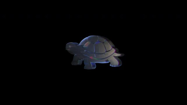 Glowing turtle silhouette with dark background