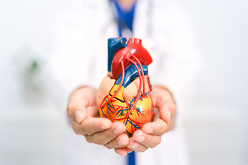 The cardiologist used a stethoscope to check the patient’s heartbeat, providing medicine and support through the health care system to ensure long-term wellness.