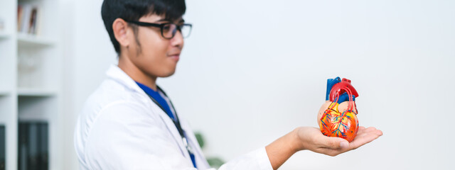 The cardiologist used a stethoscope to check the patient’s heartbeat, providing medicine and support through the health care system to ensure long-term wellness.
