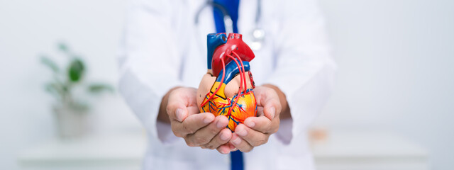 The cardiologist used a stethoscope to check the patient’s heartbeat, providing medicine and...