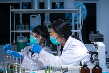 The scientist studied natural energy systems to support sustainable development, seeking an alternative that reduces carbon impact and promotes environmental balance.