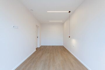 Minimalist Interior of a White Room with Wooden Flooring and a Closed Door