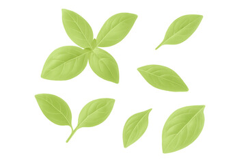 Fototapeta premium Realistic basil leaves falling against a transparent background, perfect for food and culinary designs