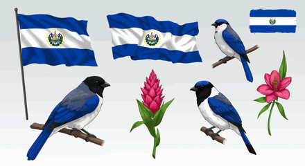 A vibrant vector collection showcasing the national symbols of El Salvador, including its waving flags, beautiful blue birds, and tropical flowers.