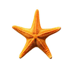 Orange Starfish on transparent