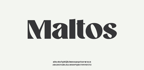 Maltos Luxury wedding alphabet font. Typography decorative elegant classic lettering serif fonts vintage retro for logo.