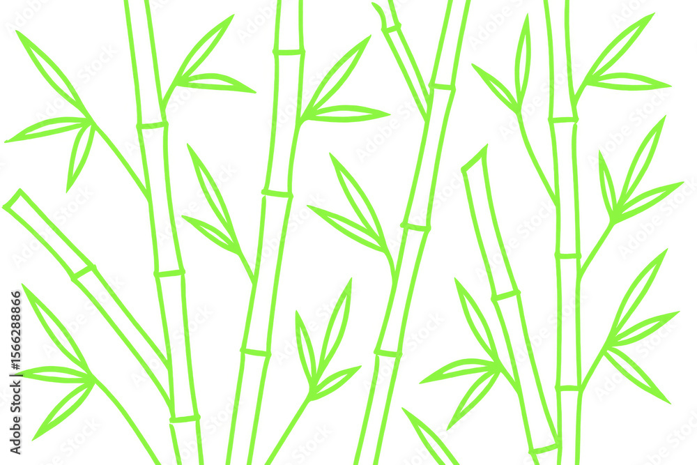 Poster light green bamboo stalks and leaves are creating a beautiful and natural background on a transparen