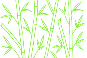 Light green bamboo stalks and leaves are creating a beautiful and natural background on a transparent background