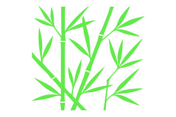 Green bamboo stalks rising vertically, lush leaves spreading, clean backdrop highlighting natural growth and tranquil botanical composition